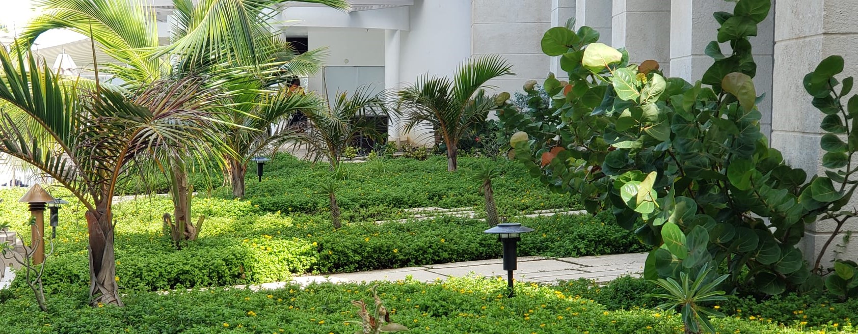 Wyndham%20Sam%20Lord%20Castle%203