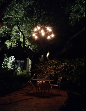 241651791_4061016024021699_7621163667054271837_n